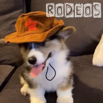 rodeos
