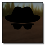 Incognito Experiences