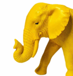The Elephant in Yellow
