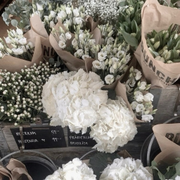 𝒶𝒷𝑜𝓊𝓉