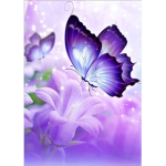 #Mia's Butterfly's