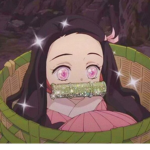 The Anime raid