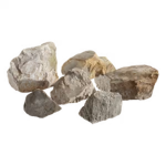 The Stone’s