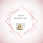 Lemon Bunnies XOXO