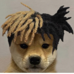 Hi##############
