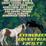 Evergreen Bridge Equestrian Center
