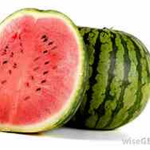 Melon Squad Memes