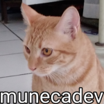 munecadev studios
