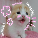IN$PIRE Group Thumbnail