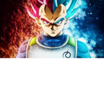 VEGETA'S CLOTHING