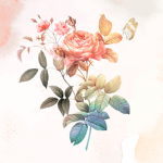 <3Annie Clothing<3