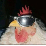 kolous