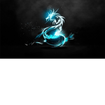 The dragon gang of awesomeness