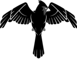 The Black Cardinal Association