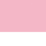 Lil Cherry Blossoms