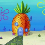 1OK1N's House