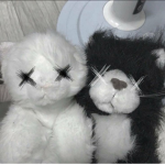 noir kittens
