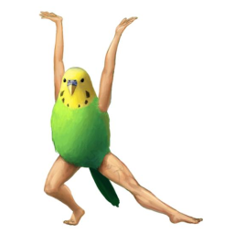 Birds.