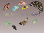The Great Moth Empire