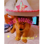 - rosé boutique -