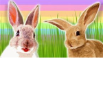 The Official Bunnies United