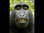 -Banana Creator Group