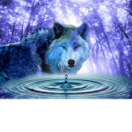 The Forever Spirit Wolves