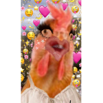 Clucking Clothings