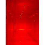 The Backrooms: Yellow halls Sub-Group