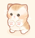 Luna the cat!!