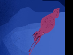I like colossal squid