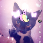 Moonliecxu