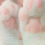 littlebunni