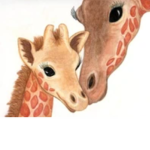 The Cute Giraffes