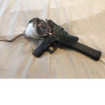 The united rat-protection