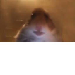 Play An Obby While A Giant Hampster Is Watching!