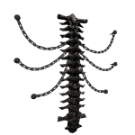 Silver Chrome Chained Spine 1.0