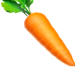 THE CARROT CLUB -!