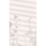 떨어지는 장미 꽃잎