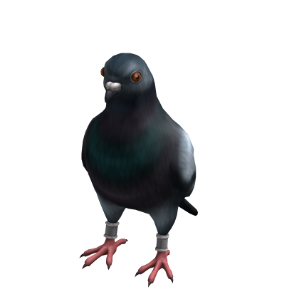 Pigeon Suit (✔)