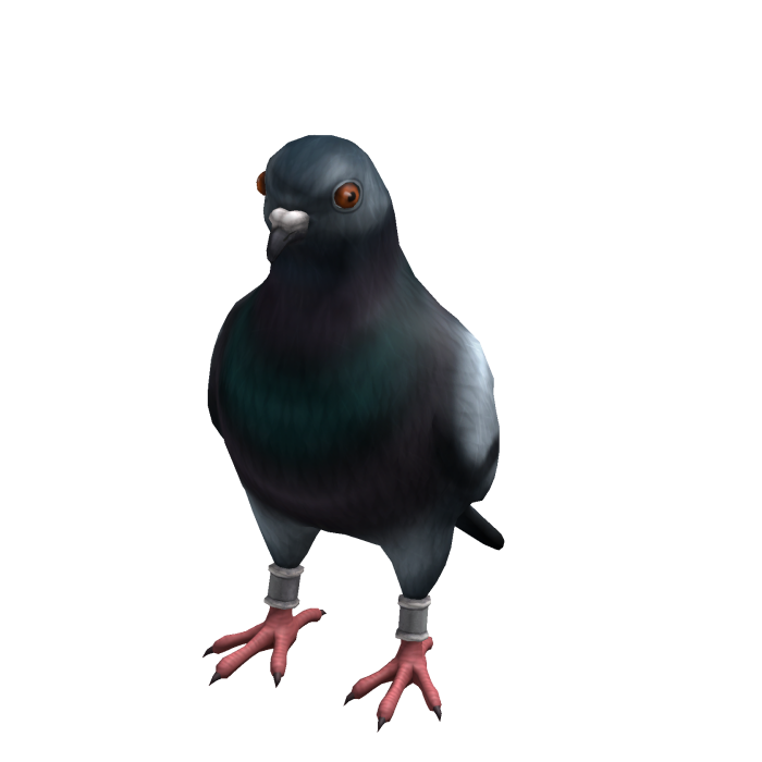 Pigeon Suit (✔)