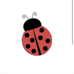Lady bugsssss