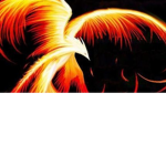 the phoenix clothing empire