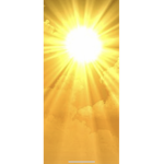 Sonnenscheinblume