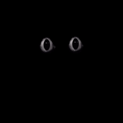 scary eyes Roblox decal