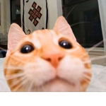Brad's Roblox Group