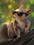 squirrels are cool
