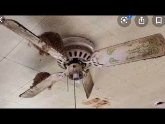 ceiling fans go bazooka (UPDATE) screenshot 3