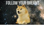 Doge Revolution.