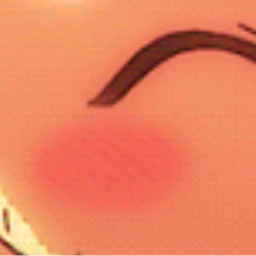 𝘾𝙤𝙩𝙩𝙤𝙣